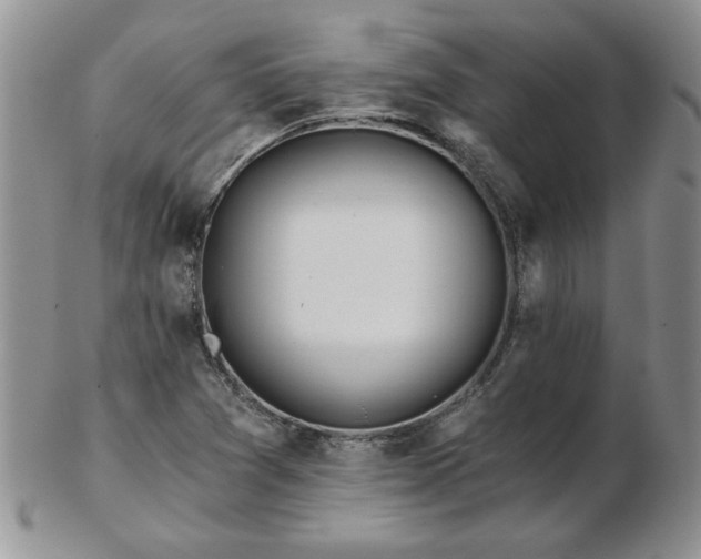 X0000102821361200808251101