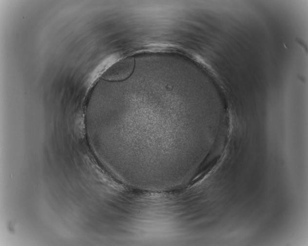 X0000102821362200808251101