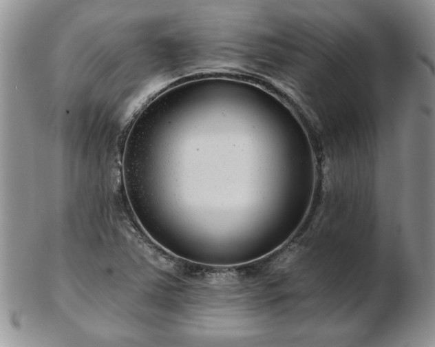X0000102821363200808251101