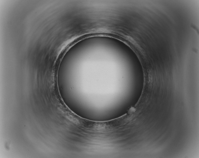 X0000102821364200808251101