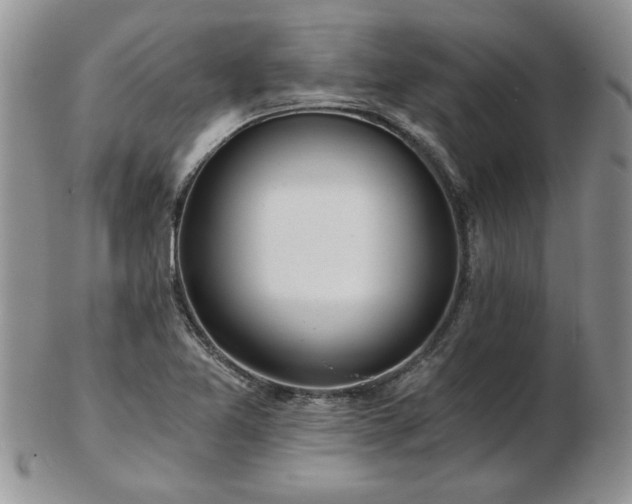 X0000102821365200808251101