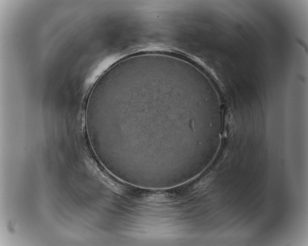 X0000102821367200808251101