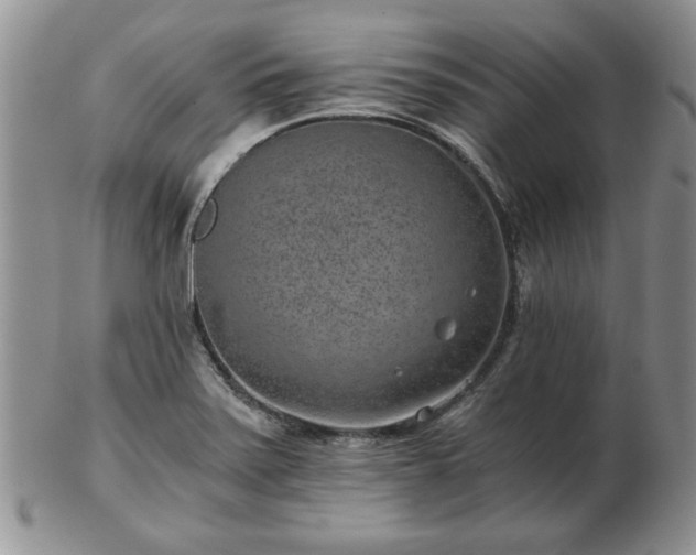X0000102821371200808251101