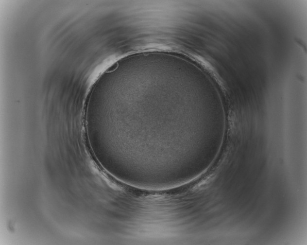 X0000102821373200808251101