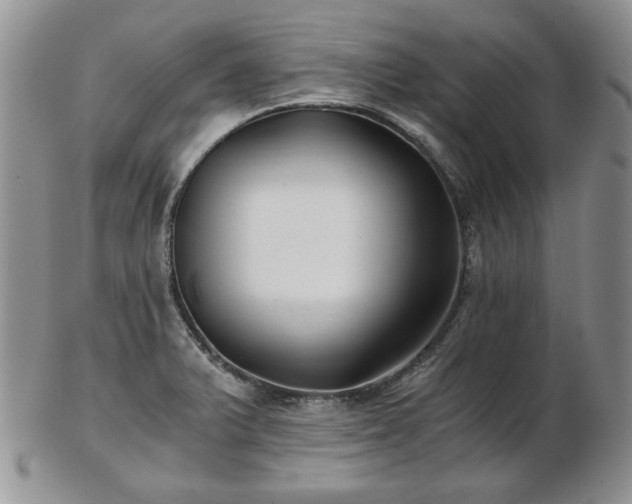 X0000102821375200808251101
