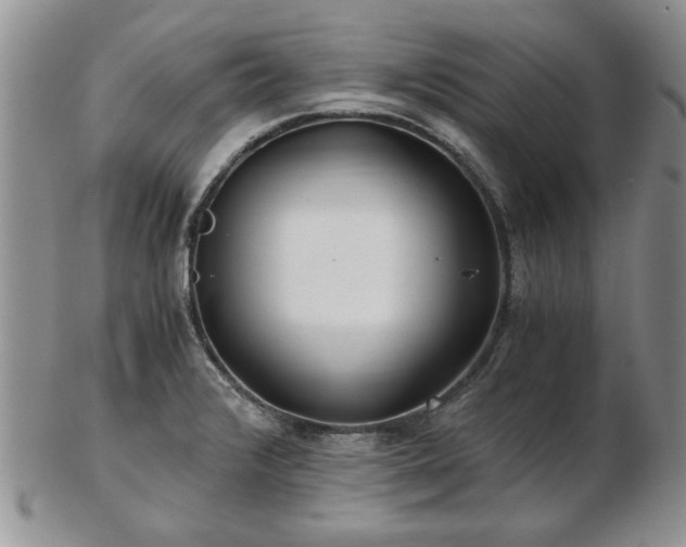 X0000102821376200808251101