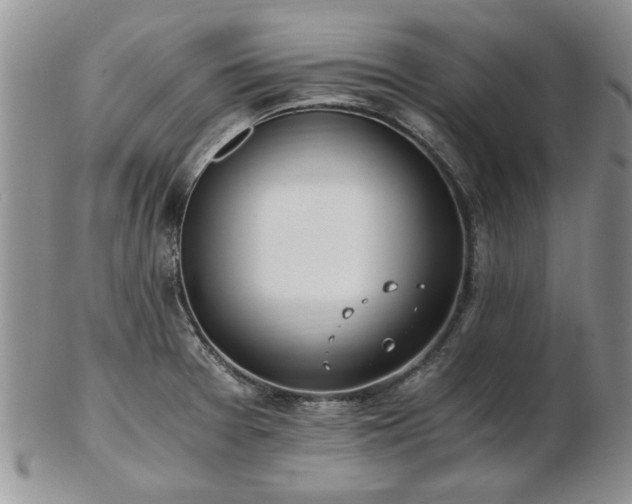 X0000102821377200808251101