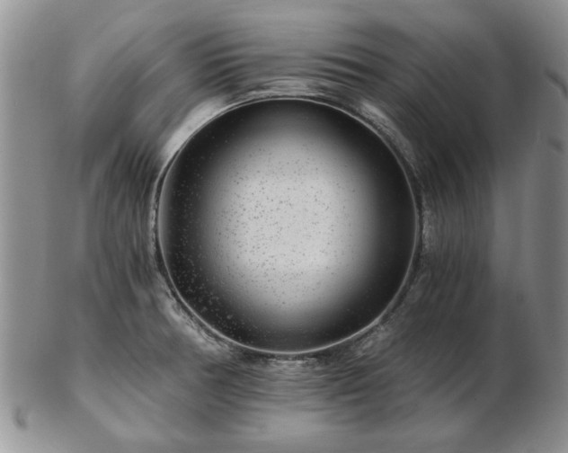 X0000102821378200808251101