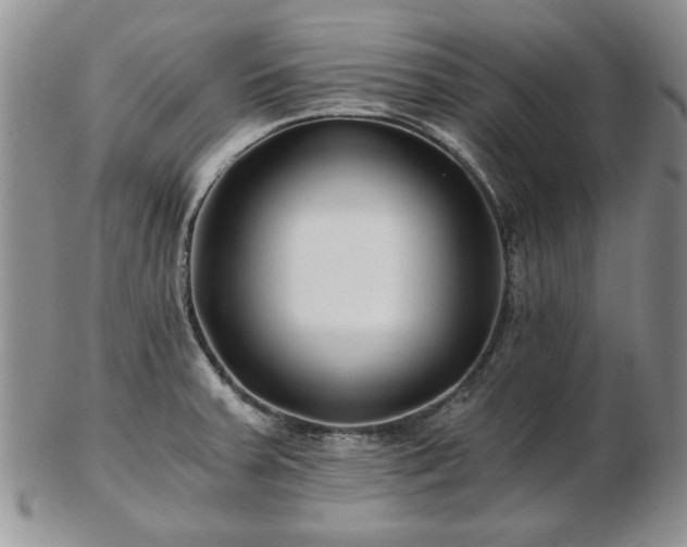 X0000102821379200808251101