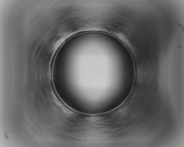 X0000102821380200808251101