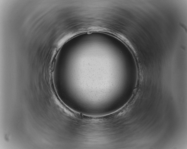 X0000102821381200808251101