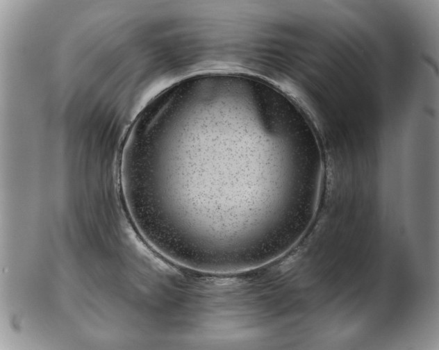 X0000102821382200808251101