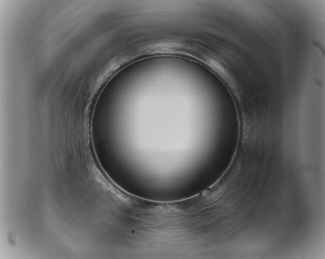 X0000102821384200808251100