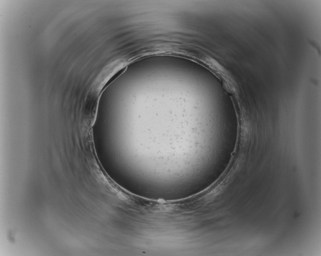 X0000102821385200808251100