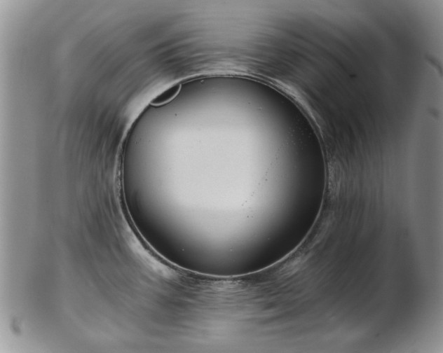 X0000102821387200808251100