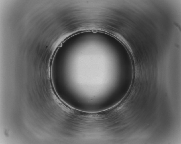 X0000102821388200808251100