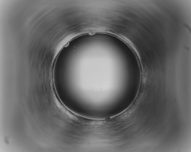 X0000102821389200808251100