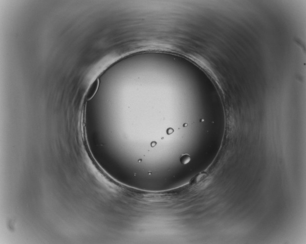 X0000102821391200808251100