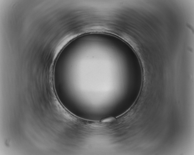X0000102821392200808251100