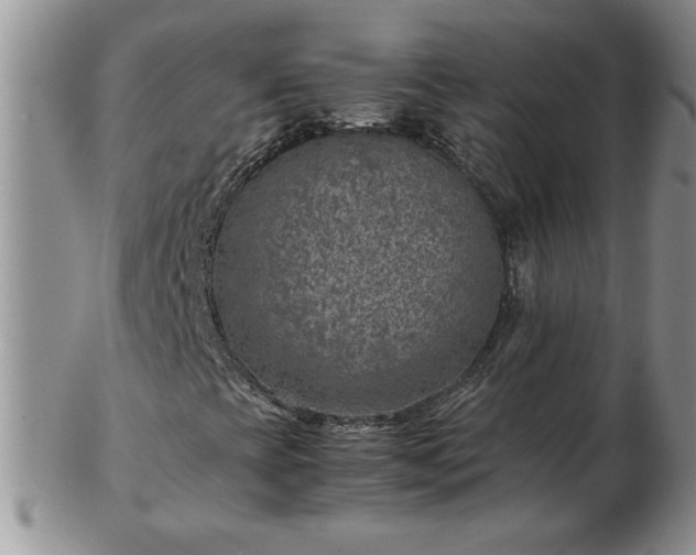 X0000102821393200808251100