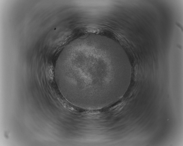 X0000102821394200808251100