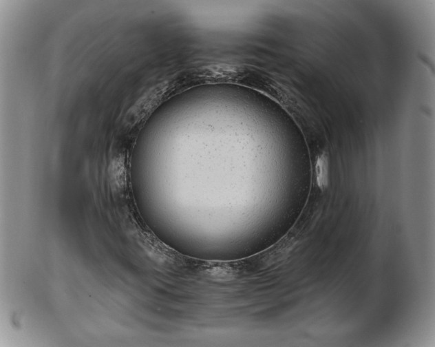 X0000102821395200808251100