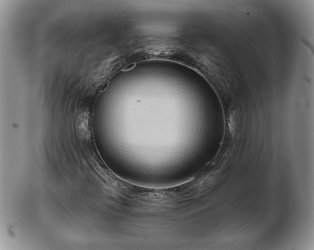 X0000102821396200808251100