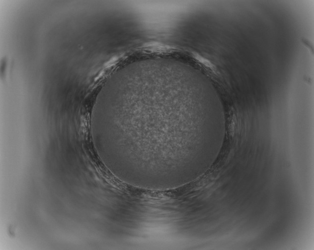 X0000102821397200808251100
