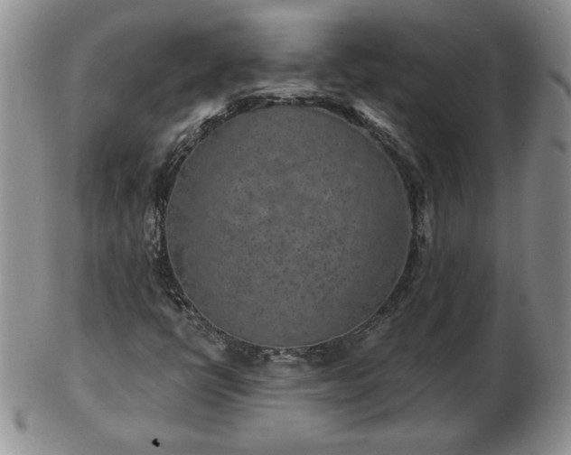 X0000102821398200808251100