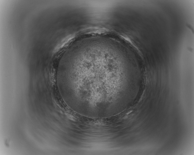 X0000102821399200808251100