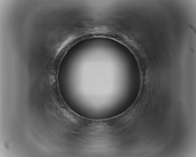 X0000102821400200808251100