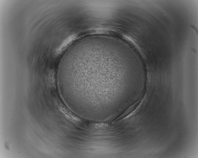 X0000102821403200808251100