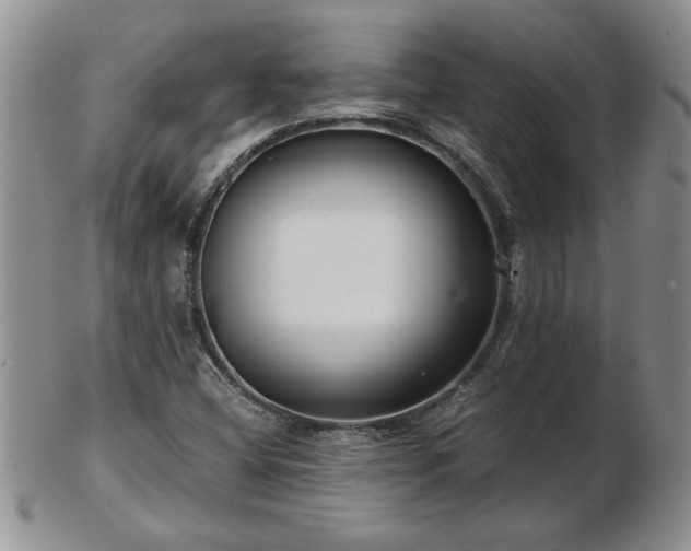 X0000102821404200808251100