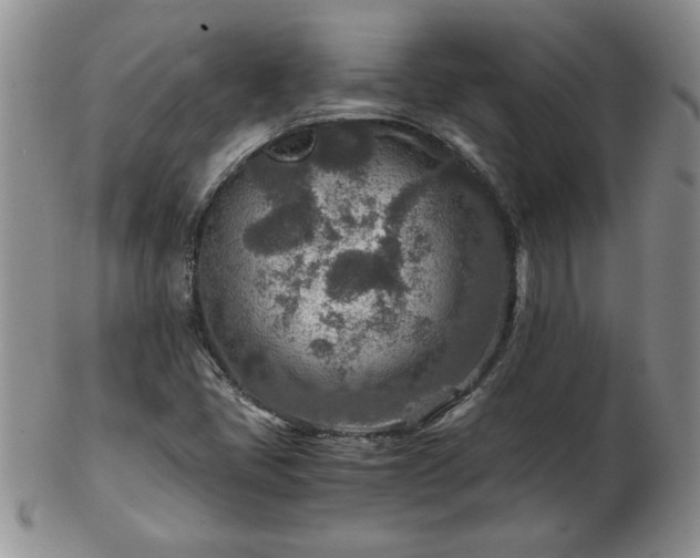 X0000102821405200808251100