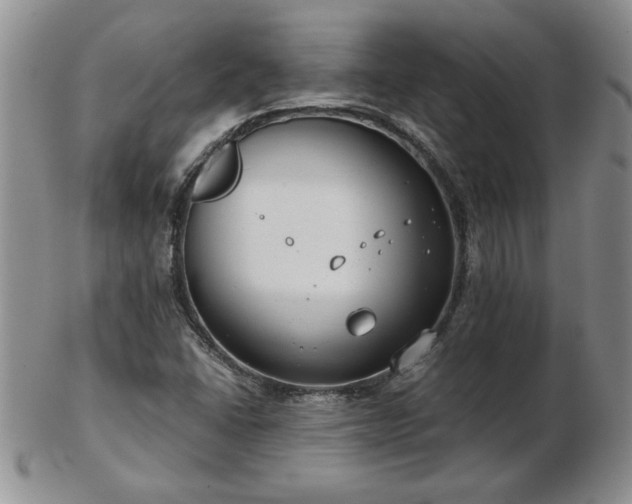 X0000102821406200808251100