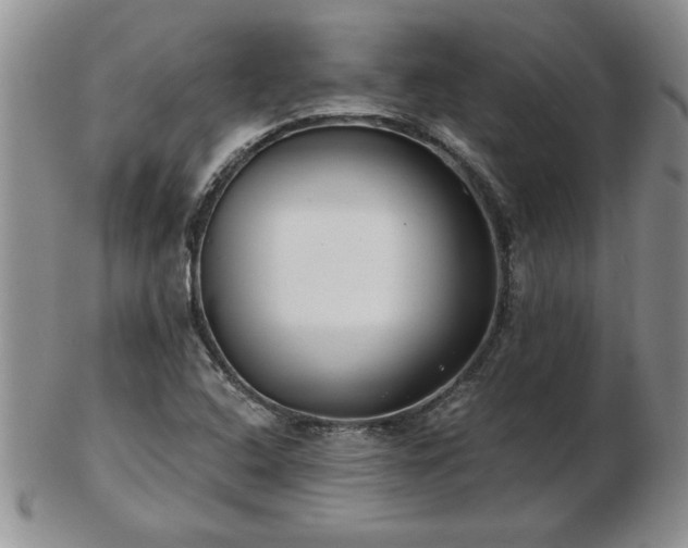 X0000102821408200808251100