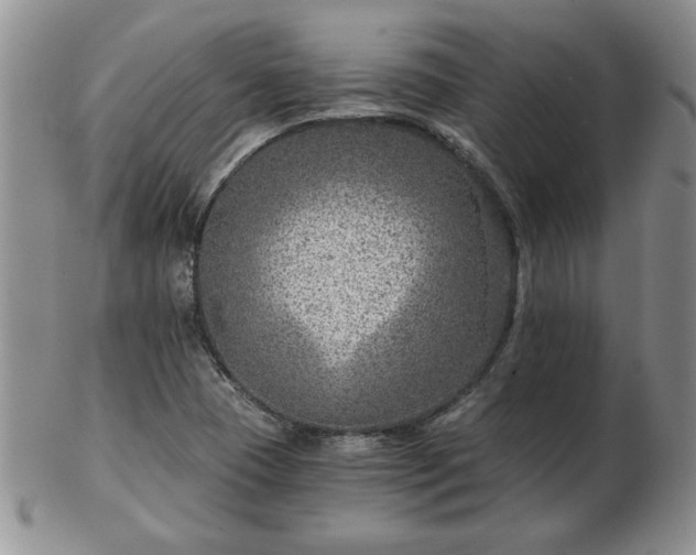 X0000102821409200808251100