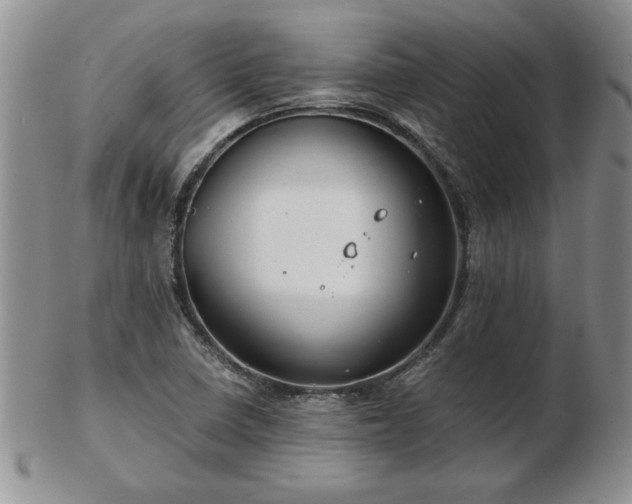 X0000102821410200808251100