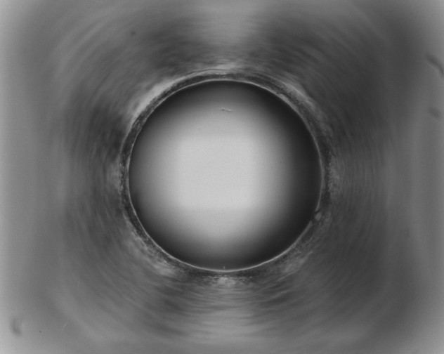 X0000102821412200808251100