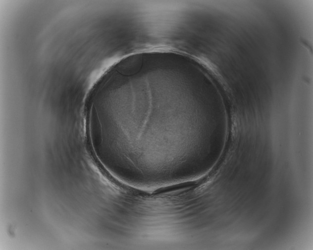 X0000102821414200808251100