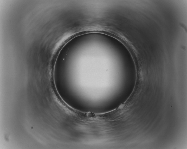 X0000102821416200808251100