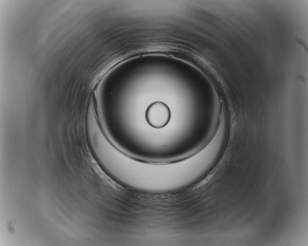 X0000102821417200808251100