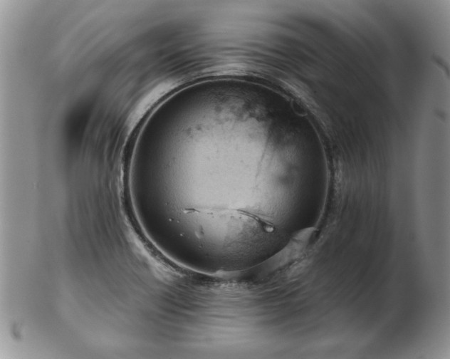 X0000102821418200808251100