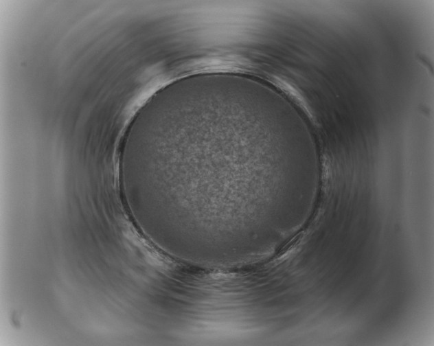 X0000102821419200808251100