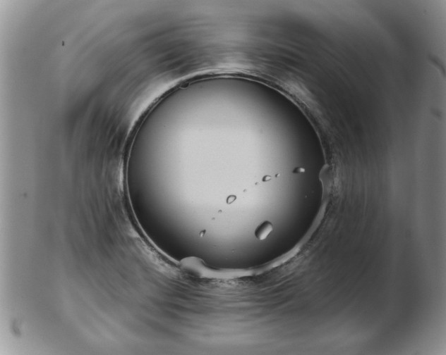 X0000102821420200808251100