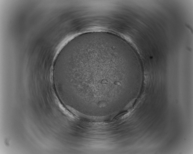 X0000102821421200808251100