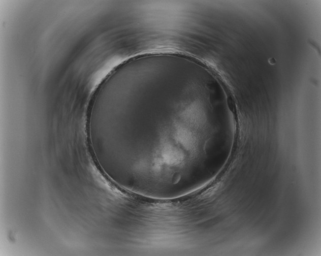 X0000102821422200808251100