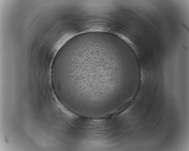 X0000102821423200808251100