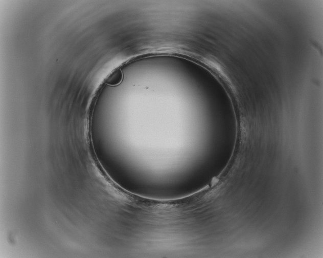 X0000102821424200808251100