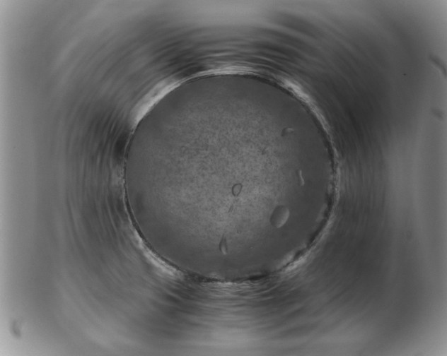 X0000102821425200808251100